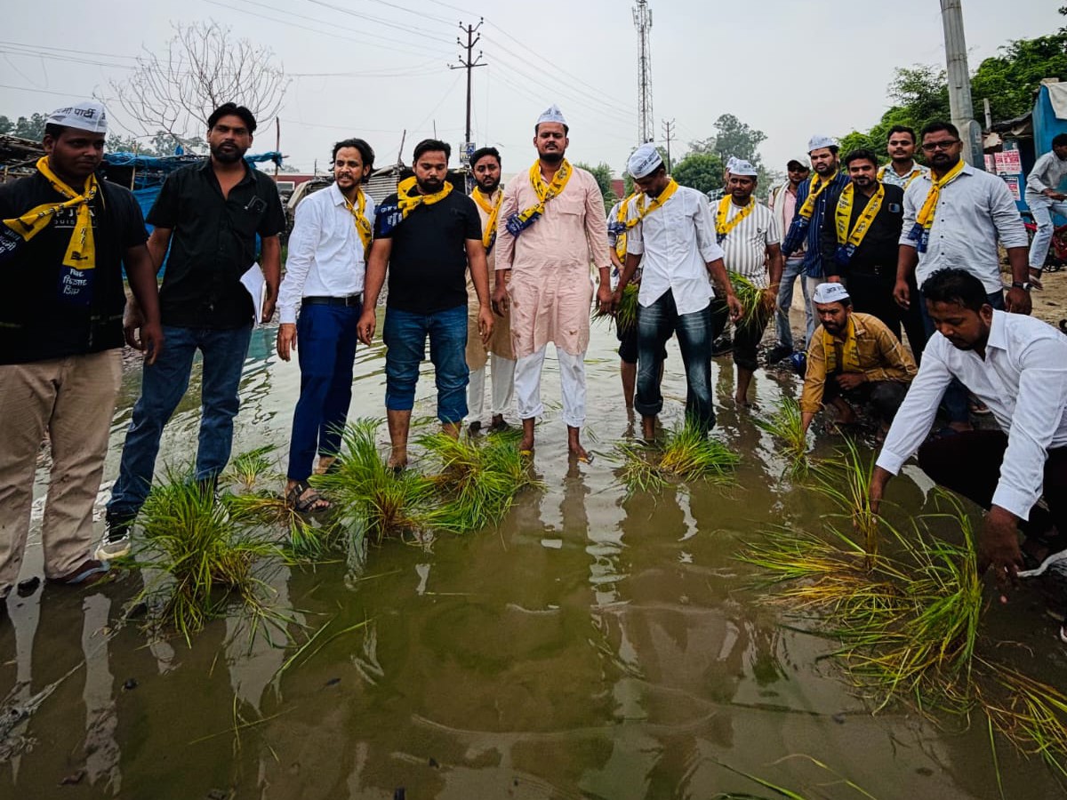 जर्जर सड़क पर भरे पानी में AAP कार्यकर्ताओं ने धान की रोपाई की।