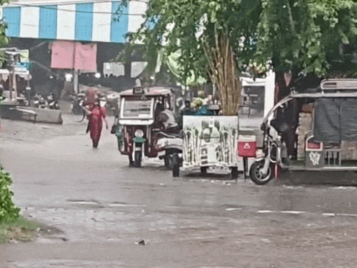4 में यलो अलर्ट, करनाल में रोड पर पानी भरा; बारिश से बिजली डिमांड घटी|हिसार,Hisar - Dainik Bhaskar