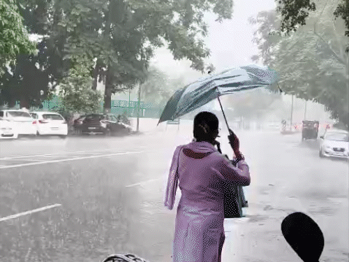 हरियाणा के यमुनानगर में अचानक तेज बारिश होने से तापमान में गिरावट दर्ज की गई।