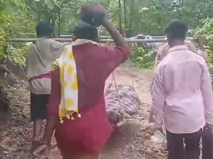 वायरल VIDEO में ग्रामीण कंधों पर शव ले जाते दिखाई दिए।