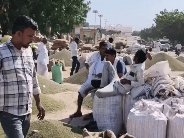 नागौर मंडी में बोली का इंतजार करते किसान