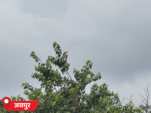 जयपुर में मंगलवार को दिनभर मौसम सुहावना रहा। हल्की बारिश के साथ दिनभर हवा चलती रही।