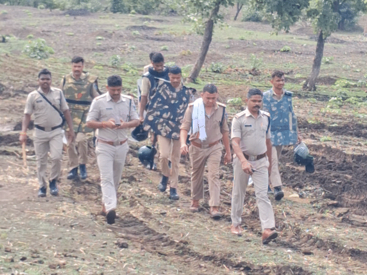 वन विभाग की टीम दिन-रात जंगलों में काम कर रही है.