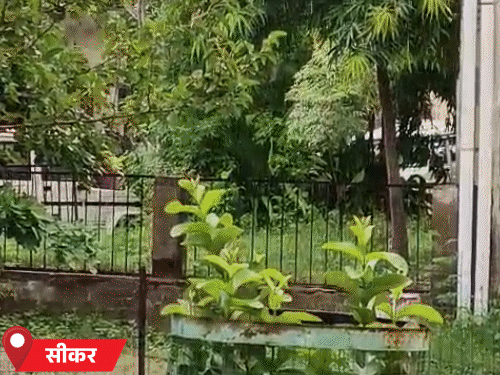 सीकर जिले में हुई बारिश के बाद भी दिनभर बादल छाए रहे, हालांकि दिन में तेज बारिश नहीं हुई।