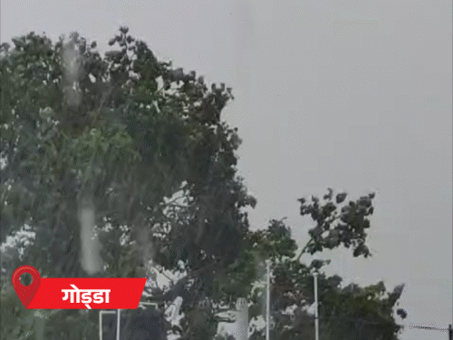 गुमला-जामताड़ा समेत कई जिलों में झमाझम बारिश, 17 जिलों में तेज बारिश-वज्रपात का अलर्ट|रांची,Ranchi - Dainik Bhaskar