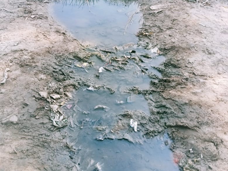 Bela Gali Village Water Logging Outbreak | Mosquito Infestation Health Risk