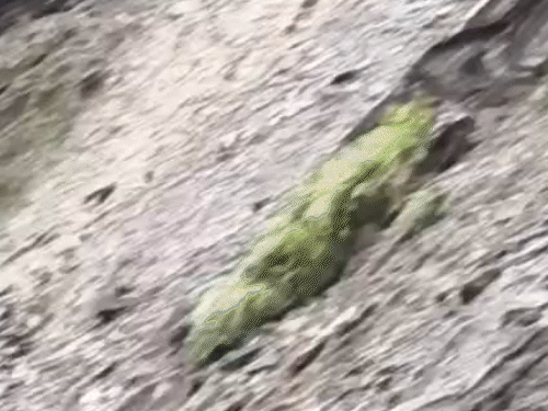 हिमाचल के चंबा में लैंडस्लाइड के बाद सड़क के दूसरी ओर फंसे बच्चे को एंबुलेंस तक लाती NHAI की हाईवे पेट्रोलिंग टीम।