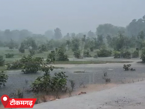 टीकमगढ़ में रुक-रुककर बारिश हो रही है।
