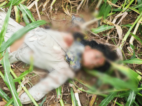 Ghaziabad Wave City Murder Case | Woman Found Dead In Jungle