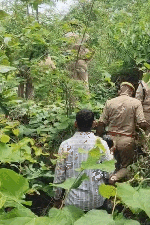 पहाड़ में जहां छात्रा के साथ दरिंदगी हुई थी, गुरुवार दोपहर वहां एडीजी जोन पहुंचे। करीब एक घंटे तक उन्होंने घटनास्थल पर जांच की।