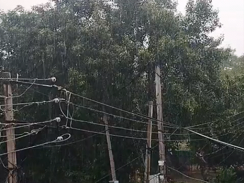 फतेहाबाद में लगातार तीसरे दिन भी बूंदाबांदी हुई।