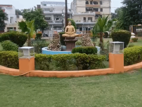 लखनऊ में बारिश की वजह से पार्कों में हरियाली फैल गई है।