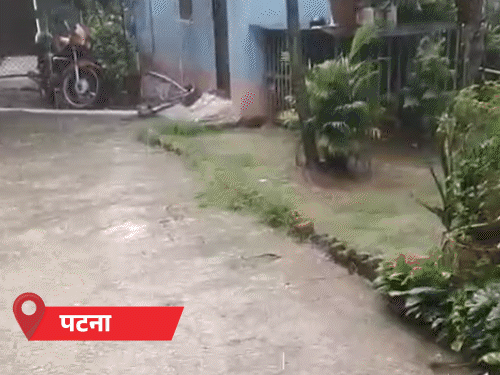 गयाजी में रेलवे ट्रैक पर पेड़ गिरने से रेलकर्मी की गई जान;19 जिलों में हैवी रेन का अलर्ट|बिहार,Bihar - Dainik Bhaskar