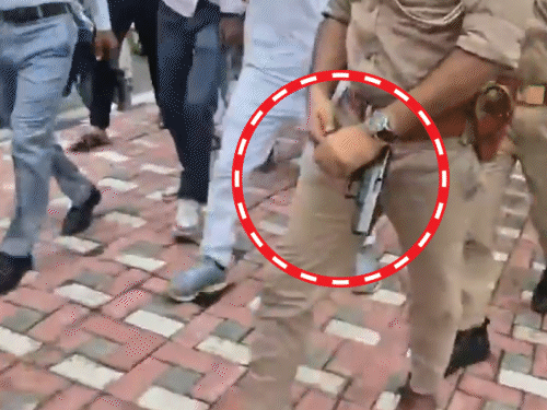 यूपी में CJP के समर्थन में वकील-छात्र सड़क पर उतरे; SDM को गुलाब दिए|प्रयागराज (इलाहाबाद),Prayagraj (Allahabad) - Dainik Bhaskar