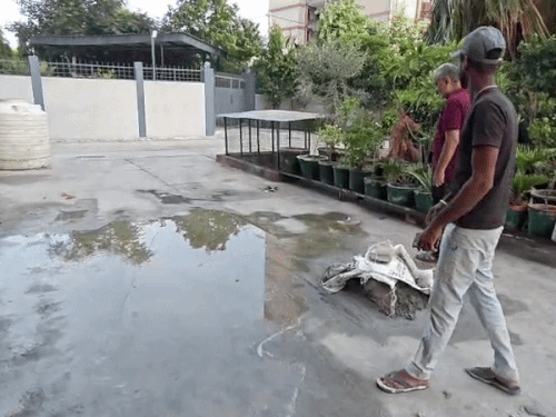 सोसाइटी में इसी जगह पर उदिता सातवीं मंजिल से गिरी थी।