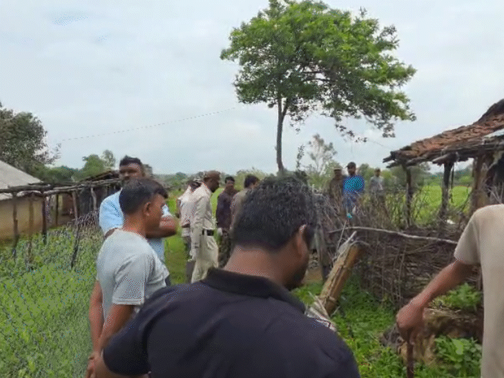 As soon as the information was received, the forest department team reached the village