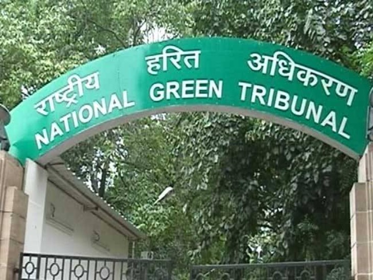 NGT took cognizance of the High Court's guidelines