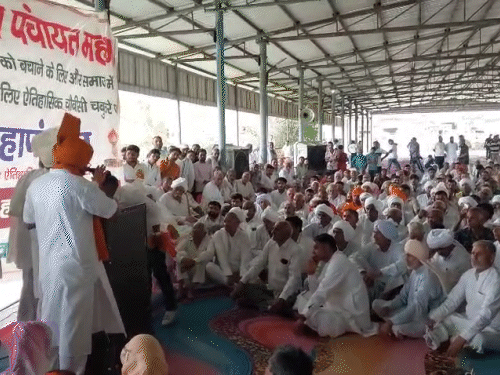 रोहतक के महम में चौबीसी चबूतरे पर आयोजित पंचायत में मौजूद खाप प्रतिनिधि। - Dainik Bhaskar