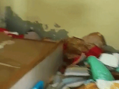 ताला तोड़कर अंदर घुसे चोर; पत्नी और बच्चे रिश्तेदारी में गए थे|पानीपत,Panipat - Dainik Bhaskar