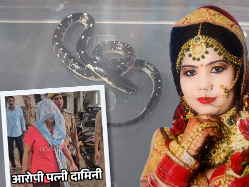 अतुल को पत्नी दामिनी ने करैत सांप से डसवाया था। ये सांप दुनिया का चौथा सबसे जहरीला है।
