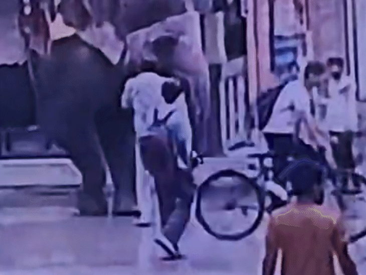 हाथी ने विजय को सूंड से धक्का देकर गिरा दिया.