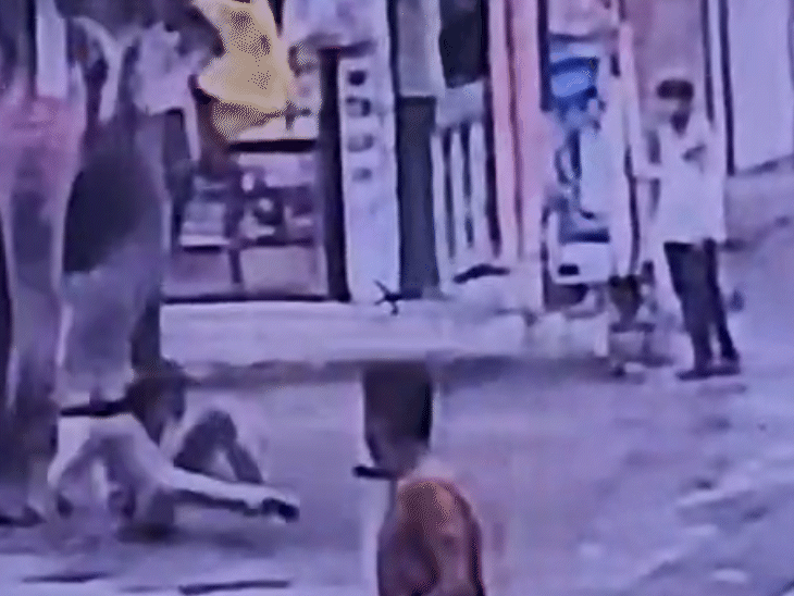 इसके बाद हाथी ने अपने दोनों पैरों से उसके शरीर को कुचल दिया.