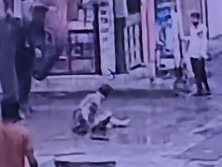 विजय गंभीर रूप से घायल हो गया। महावत उसकी ओर दौड़े।