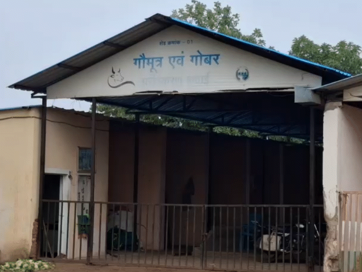 मध्य प्रदेश की पहली ‘आदर्श गोशाला’ बताकर मॉडल के रूप में पेश किया गया था।