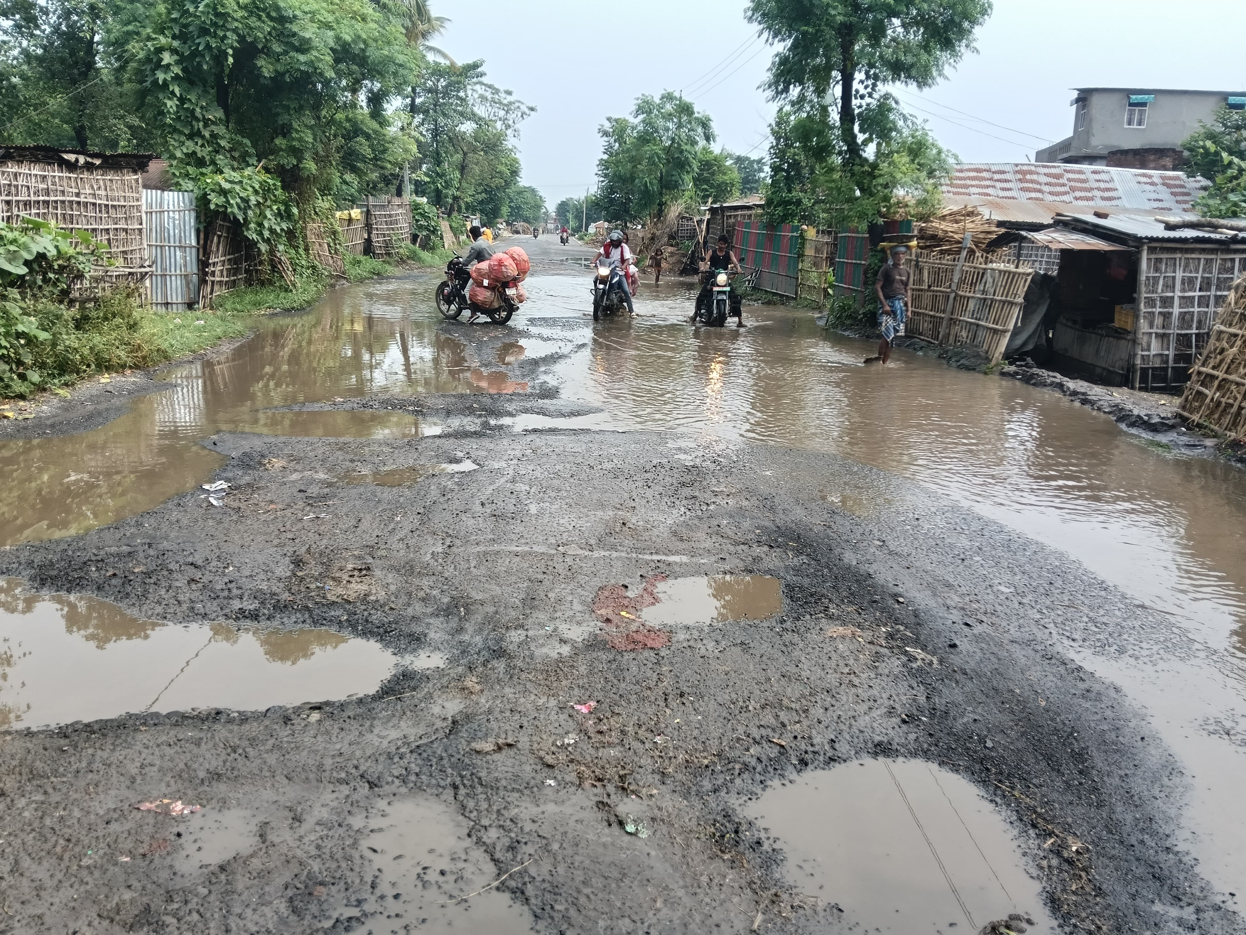 Murliganj-Bihariganj Road Accident | SH-91 Potholes Repair Demand