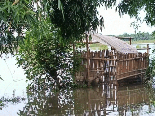 असम के जोरहाट जिले के अलेंगमोरा इलाके में बाढ़ का पानी धीरे-धीरे कम होने लगा है।
