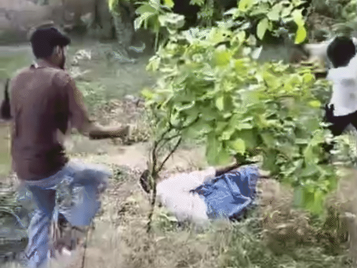 अधेड़ उम्र के शख्स की बेरहमी से पिटाई