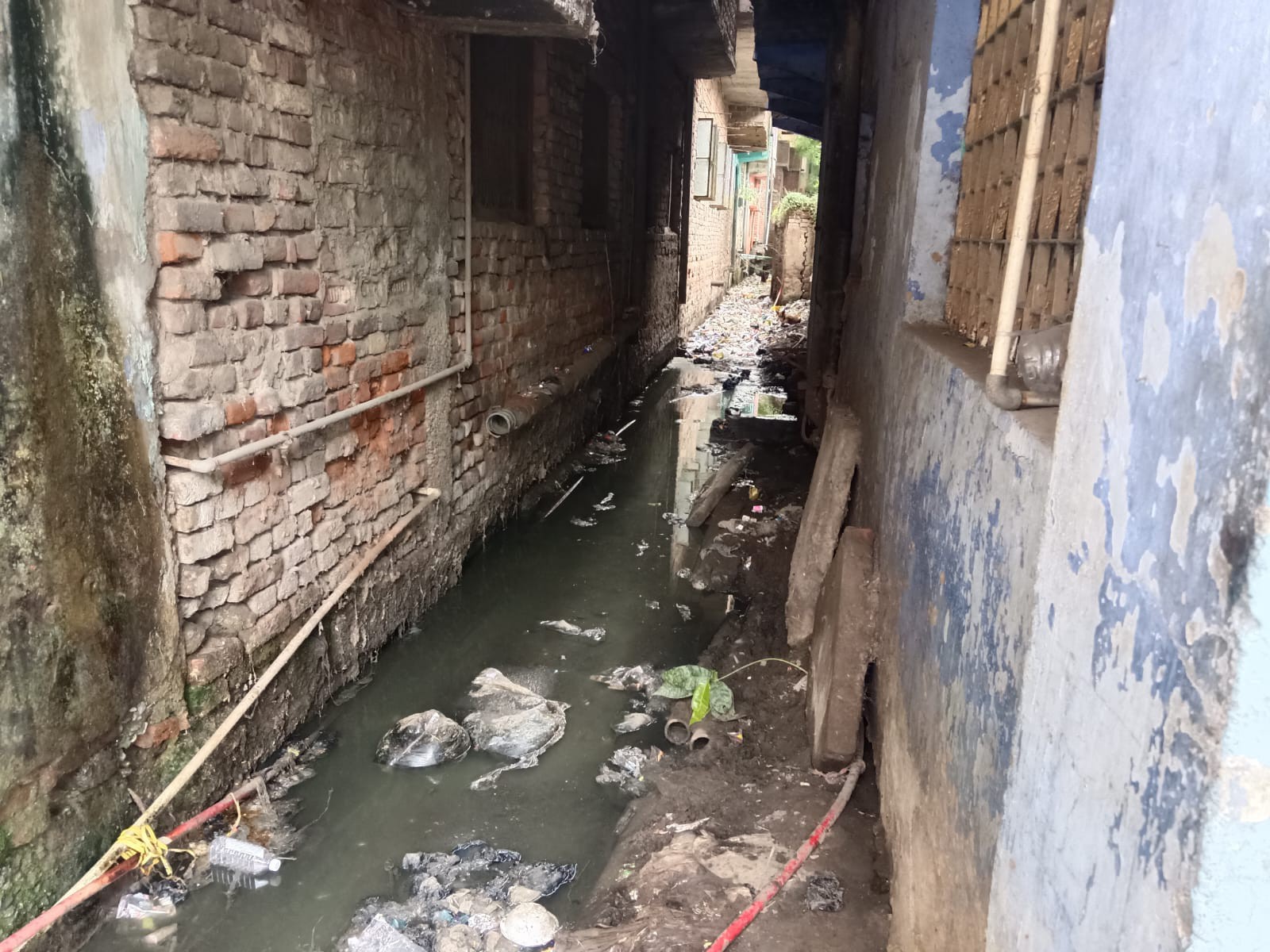 बाकी नालों में गाद-कचरा भरा, जलजमाव का खतरा, नगर आयुक्त बोले- मैं स्वंय करूंगा निरीक्षण|गया,Gaya - Dainik Bhaskar