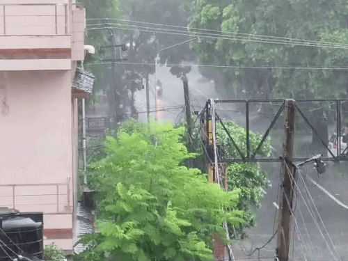 मोहाली के फेज-2 में तेज बारिश हो रही है।