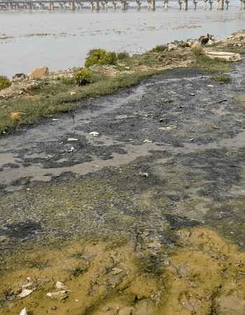 वार्ड में गंगा किनारे बनी रिवर फ्रंट रोड पर गंदा पानी और गंदगी बह रही है। स्थानीय लोगों का कहना है कि नियमित सफाई और जल निकासी की व्यवस्था न होने से सड़क की हालत लगातार बदहाल होती जा रही है।