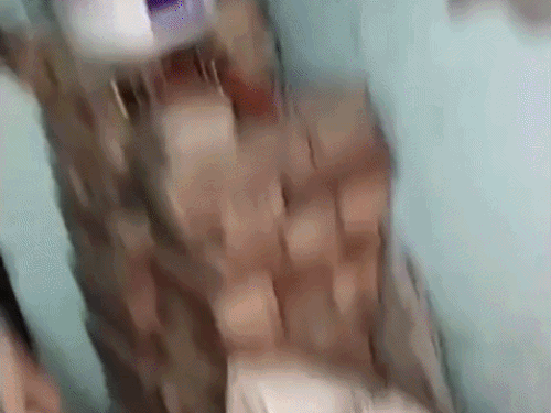जालंधर में पुलिस और एक्साइज विभाग का एक्शन। - Dainik Bhaskar