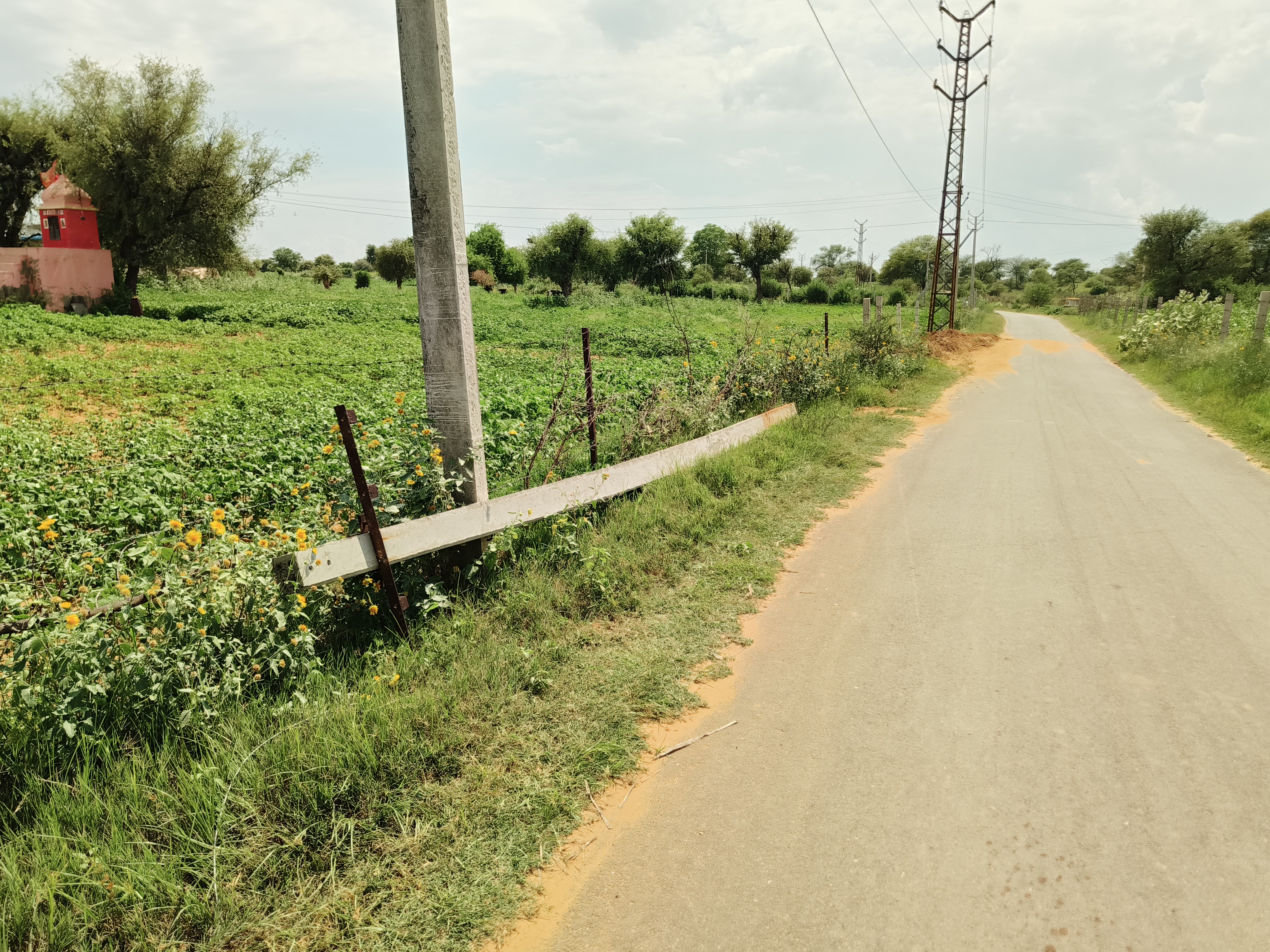 ग्रामीणों ने बिजली लाइन के पोल उखाड़कर गिराने का आरोप लगाया।