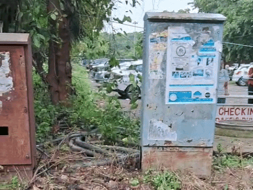 हादसे वाली जगह पर कई बिजली जंक्शन बॉक्स लगे हैं।