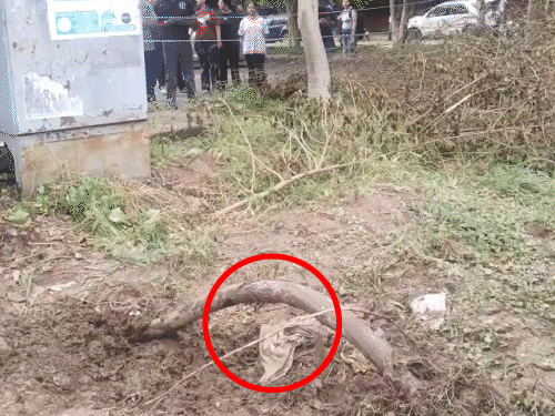 केबल (लाल घेरे में) के पानी में जाने से छात्रा को करंट लगा था।