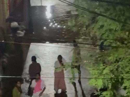 भिलाई में सड़क पर फैला खून, युवक वेंटिलेटर पर; महिलाओं को भी पीटा|दुर्ग-भिलाई,durg-bhilai - Dainik Bhaskar