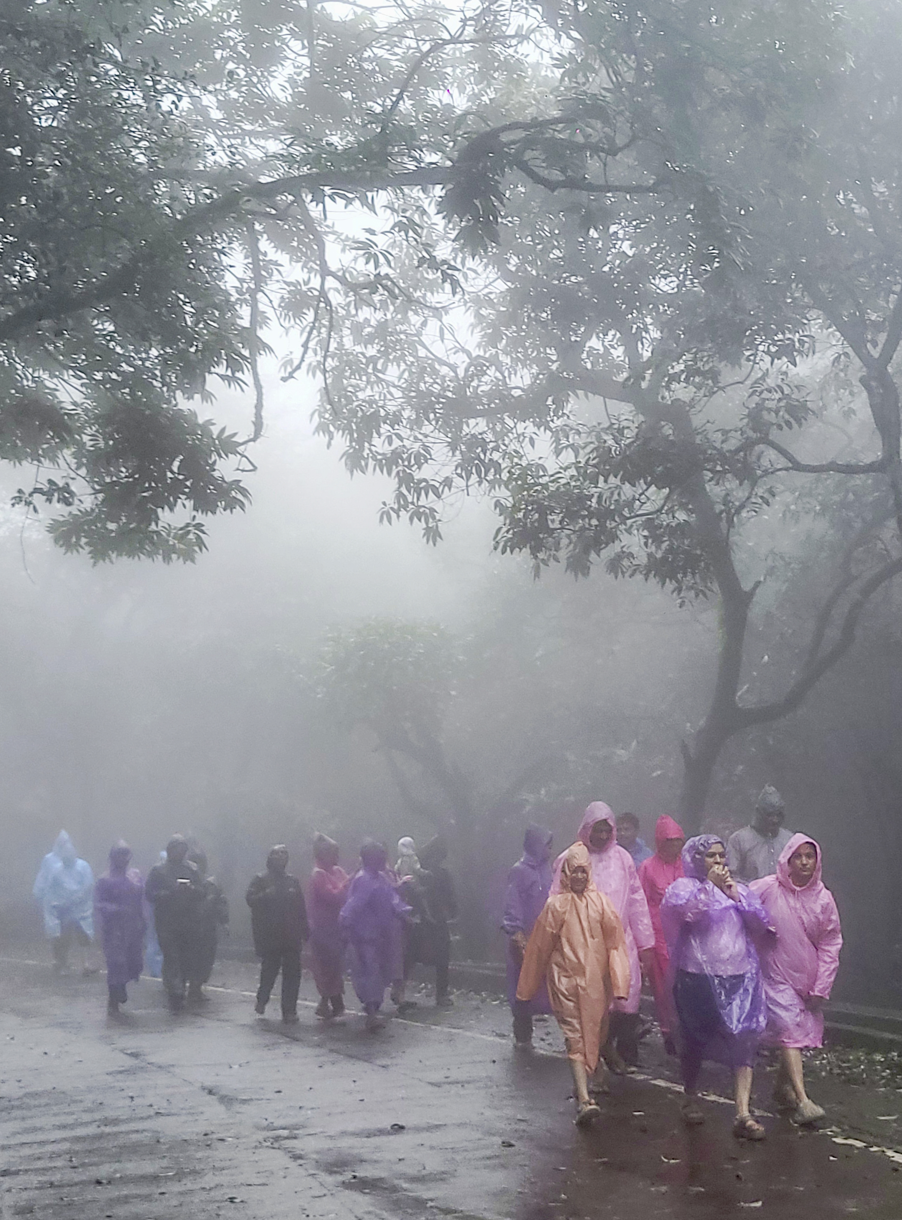 महाराष्ट्र के पुणे में भीमाशंकर में मानसून की बारिश के बीच लोग मंदिर में दर्शन करने पहुंचे।