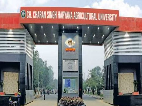 हिसार के राजगढ़ रोड स्थित एचएयू का 4 नंबर गेट।