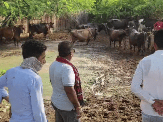 पहली बार में लगेगा जुर्माना, होगी कानूनी कार्रवाई; अब तक 6 लाख का जुर्माना वसूल चुके|जोधपुर,Jodhpur - Dainik Bhaskar