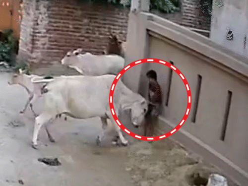 बच्ची को पहले दीवार पर दबाती है, फिर जमीन पर पटक देती है।