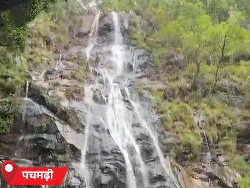 जुलाई के आखिरी सप्ताह में नर्मदापुरम जिले के पचमढ़ी में तेज बारिश का दौर रहा।