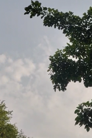 इसके साथ ही वज्रपात और मेघ गर्जन की भी आशंका जताई गई है।