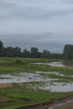 आज कई स्थानों पर हल्की से मध्यम बारिश होने की संभावना है।