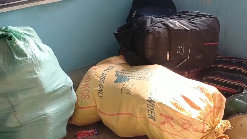जब्त की गई गांजा की खेप।