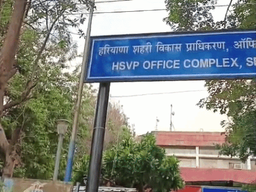 HSVP वन विभाग को दोगुनी जमीन उपलब्ध कराएगा - Dainik Bhaskar
