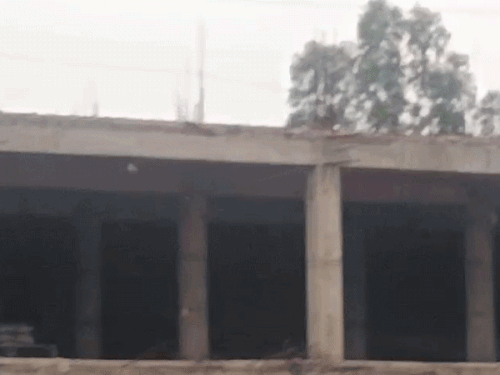 देवी तालाब मंदिर परिसर में जमकर ईंट-पत्थर चलते दिखे। - Dainik Bhaskar