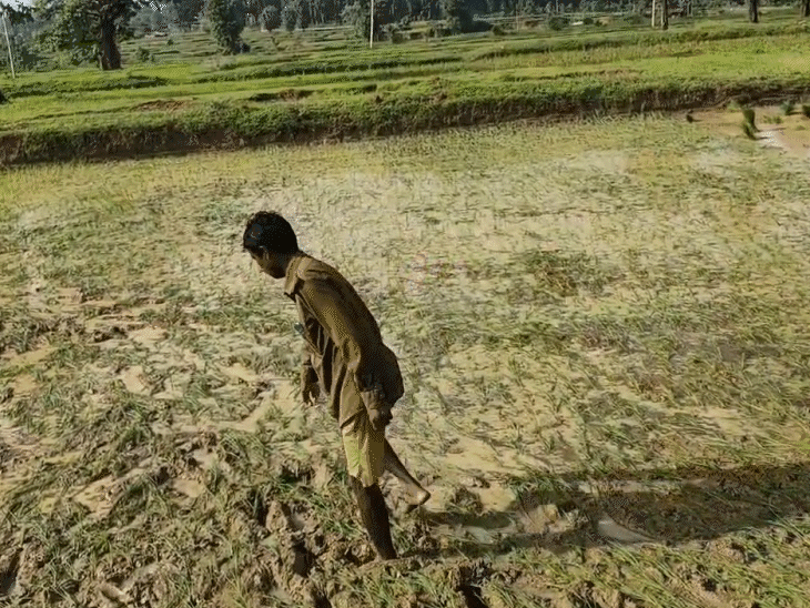 The woman's relatives showed the tiger's paw prints.
